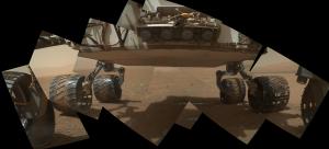 Curiosity Bell Check Image