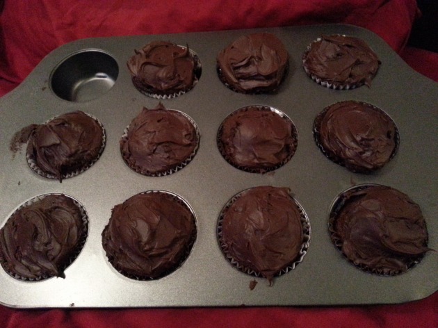 Daniel's Splendiferous Chocolate/Chocolate Chip Cupcakes