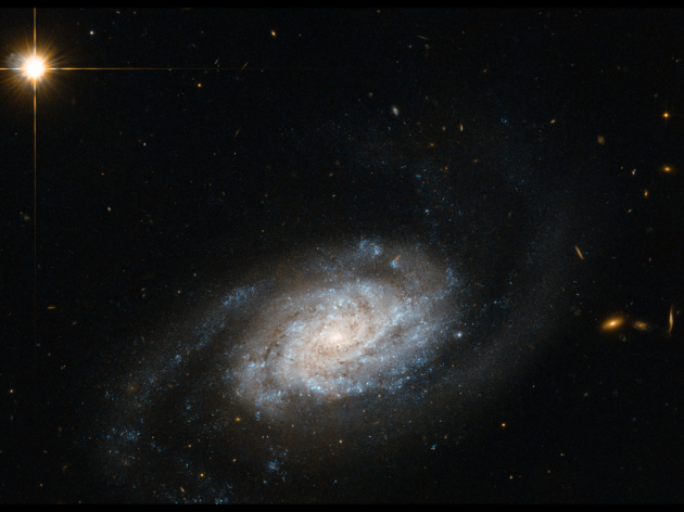 Hubble Sees Galaxies Spiraling around Leo