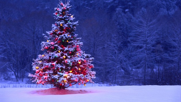 Christmas Treee 2